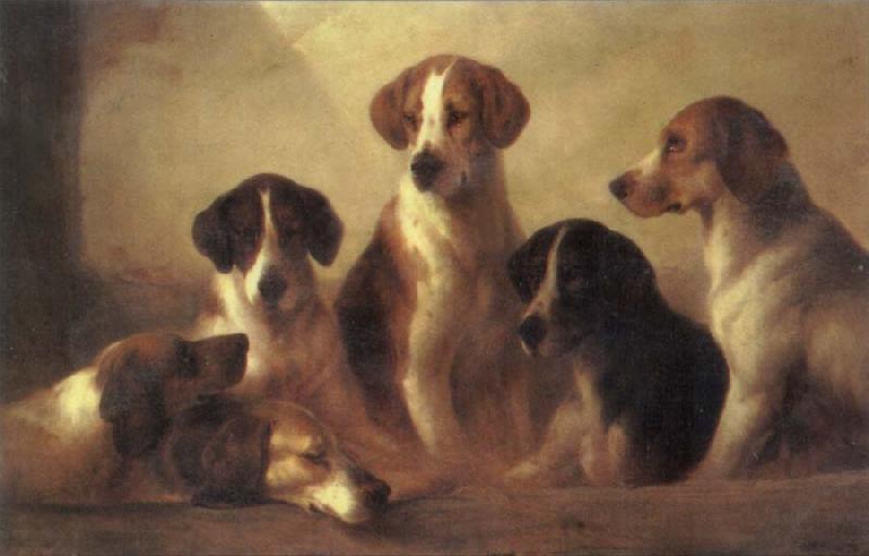 Edward Robert Smythe Hounds oil painting image